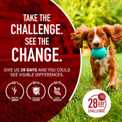 Purina ONE Lamb and Rice Formula Dry Dog Food for Digestive Support