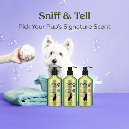 PAWFUME Dog Shampoo and Conditioner, Blue Ribbon, 1-Pack