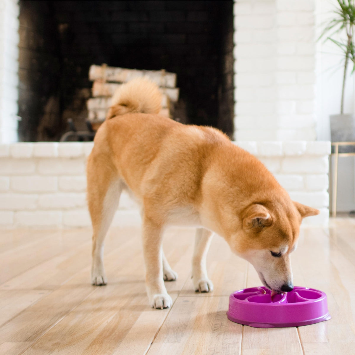 Outward Hound Fun Feeder Slo Bowl Dog Slow Feeder, Wave, Pink, 5.8"