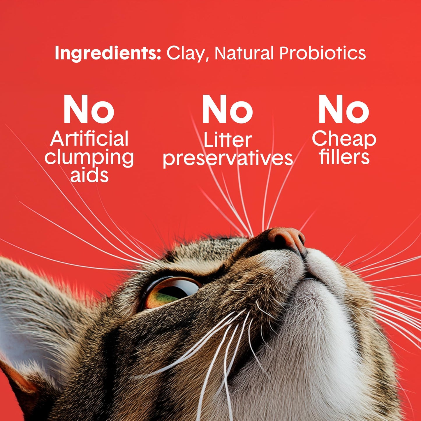 Boxie Premium Scented Clumping Cat Litter 30+ Day Odor Control 40 lb