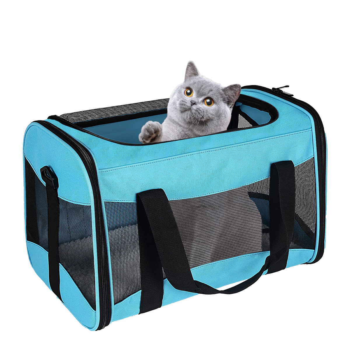 Cat Dog Carriers Soft-Sided Pet Carrier Large Cats for Medium Big Cat Small Dog Puppy up to 16lbs TSA Airline Approved Animal Collapsible Cat Carrier Carriers Travel Carrier Cat Bag (17x11x11)