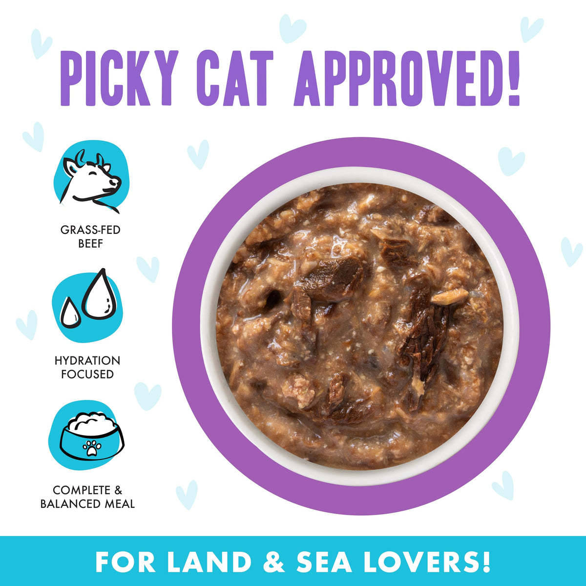 Weruva B.F.F. OMG - Best Feline Friend Oh My Gravy! Tuna & Chicken Charm Me with Tuna & Chicken in Gravy Cat Food, 3oz Pouch (Pack of 48)