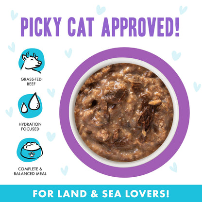 Weruva B.F.F. OMG - Best Feline Friend Oh My Gravy! Tuna & Chicken Charm Me with Tuna & Chicken in Gravy Cat Food, 3oz Pouch (Pack of 48)