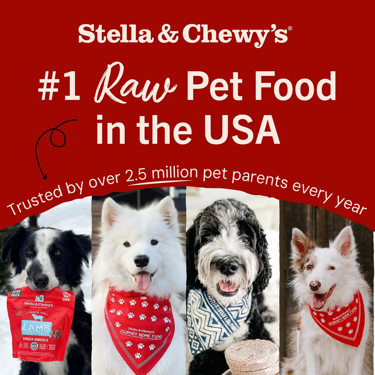 Stella & Chewy’s Freeze-Dried Raw Marie's Magical Dinner Dust – Protein Rich, Grain Free Dog & Puppy Food Topper – Grass-Fed Beef Recipe – 7 oz Bag