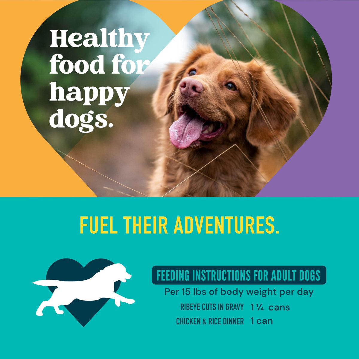 A Strong Heart Chopped Dog Food, Real Beef Dinner, 13.2oz Cans, 12pk