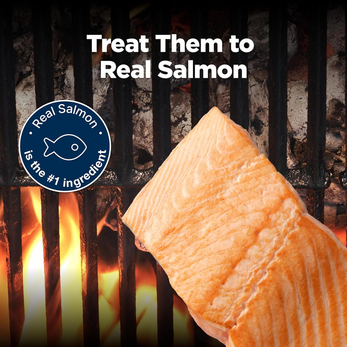 Blue Buffalo Nudges Grillers Salmon Dog Treats, 16 oz