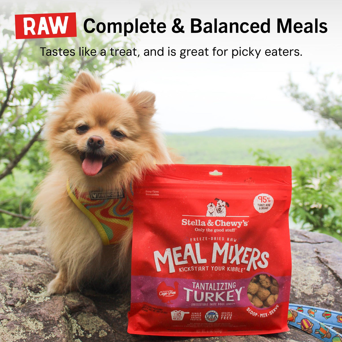 Stella & Chewy's Freeze-Dried Raw Chicken Meal Mixers- Dog Food Topper & Mixer - Made with 95% Cage-Free Chicken, Organs & Bone - Perfect for Picky Eaters - Grain-Free, 2.19 Pound (Pack of 4)