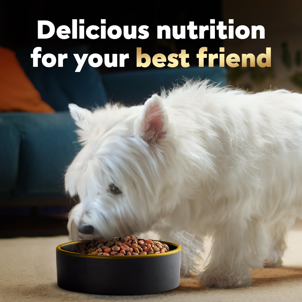 Cesar Small Breed Dry Dog Food, Filet Mignon & Spring Vegetables, 12 lb
