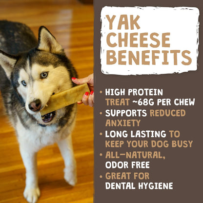 Mighty Paw Yak Chews, Long Lasting Hard Chew for Large Dogs, 4 Pack