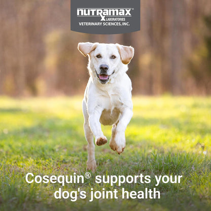 Nutramax Cosequin Joint Supplement for Dogs, Skin & Coat, Soft Chews,120ct