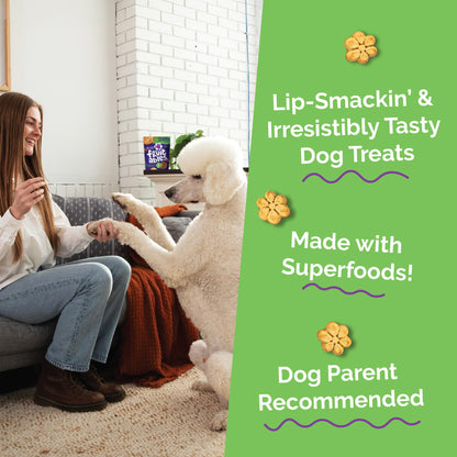 Fruitables Baked Dog Treats, Low Calorie Treats, Pumpkin & Blueberry, 12oz