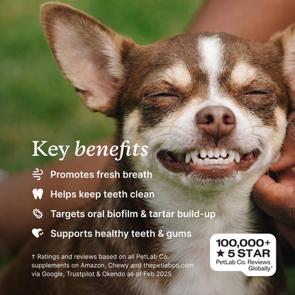 PetLab Co. ProBright Dental Powder for Extra Small Dogs