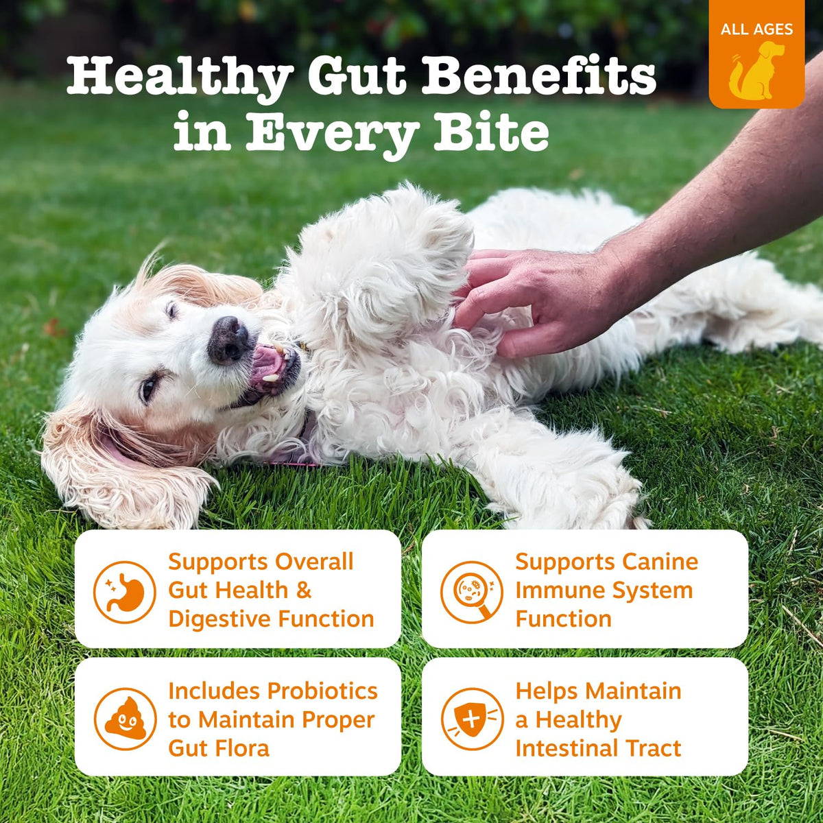 Zesty Paws Probiotics for Dogs - Gut Health Soft Chews, Pumpkin, 90 Ct