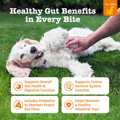 Zesty Paws Probiotics for Dogs - Gut Health Soft Chews, Pumpkin, 90 Ct