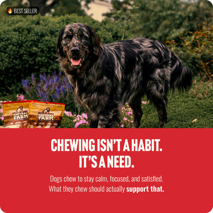 Natural Farm Odor-Free Bully Sticks (6 Inch, 25 count),1.3 lb. Bag, Fully Digestible 100% Beef Pizzle Chews,Grass-Fed, Non-GMO,Grain-Free, Natural Long-Lasting Chews for Small & Large Dogs. Pack of 25
