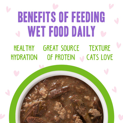 Weruva B.F.F. OMG - Best Feline Friend Oh My Gravy! Tuna & Chicken Charm Me with Tuna & Chicken in Gravy Cat Food, 3oz Pouch (Pack of 48)