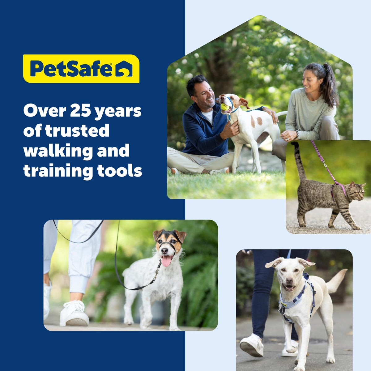 PetSafe Easy Walk Harness, No Pull Dog Harness, Raspberry, Medium/Large