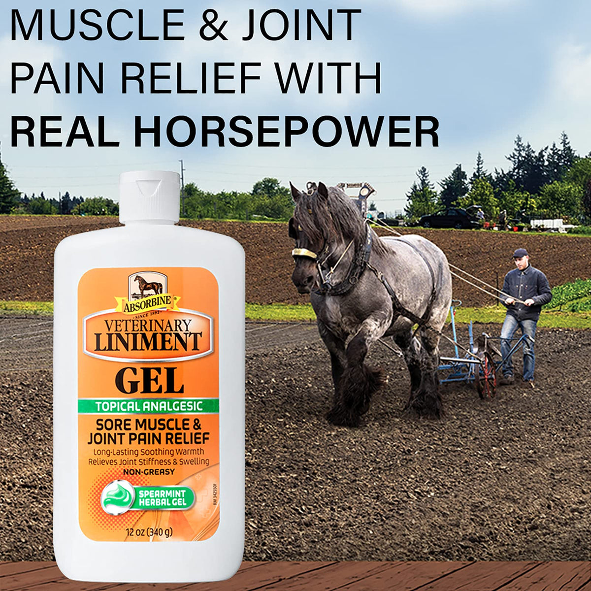 Absorbine Veterinary Liniment Gel, 12 oz Bottle