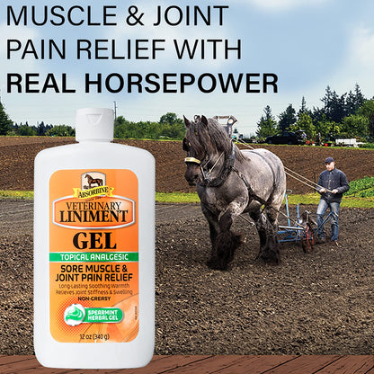 Absorbine Veterinary Liniment Gel, 12 oz Bottle
