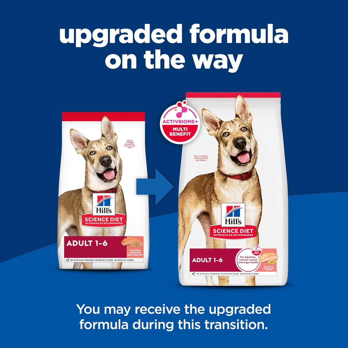 Hill's Science Diet Adult 1-6 Dry Dog Food