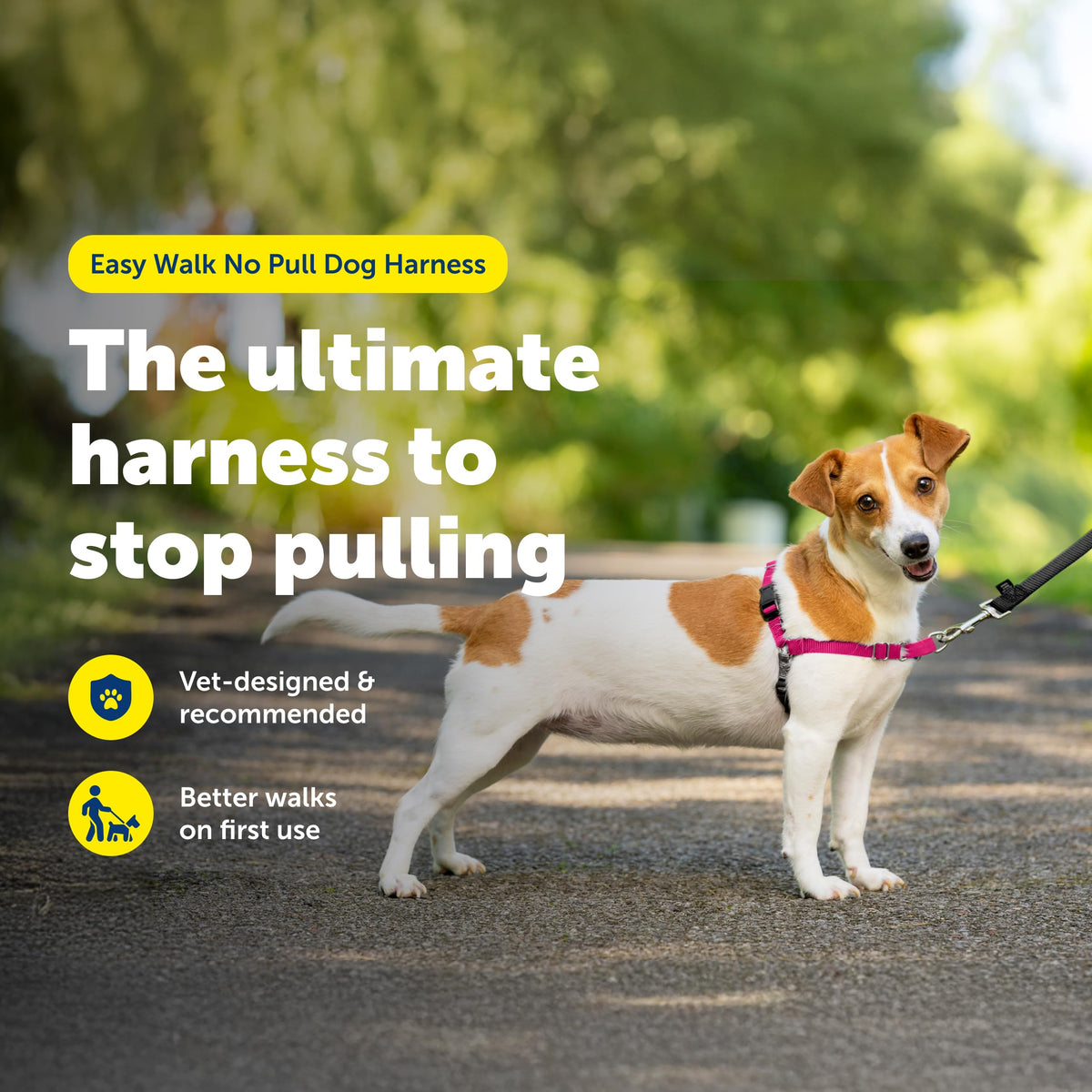 PetSafe Easy Walk Harness, No Pull Dog Harness, Raspberry, Medium/Large