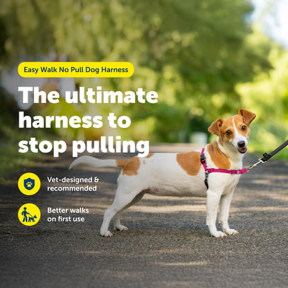 PetSafe Easy Walk Harness, No Pull Dog Harness, Raspberry, Medium/Large