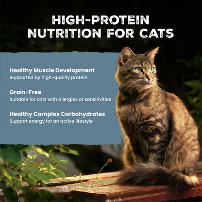 Blue Buffalo Tastefuls Wet Cat Food, Made with Natural Ingredients, Tuna and Chicken Flaked Entrées in Gravy, 3oz Cans, 4-Count Variety Pack Trial Size