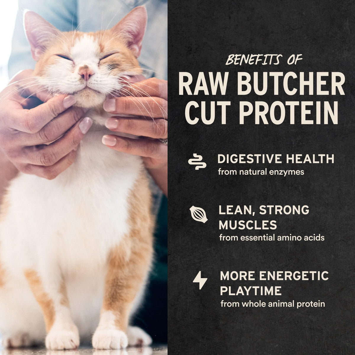 Vital Essentials Freeze Dried Cat Treats, Ahi Tuna Bites, 1.1 oz Bag