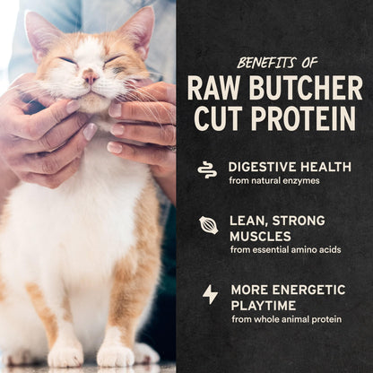 Vital Essentials Freeze Dried Cat Treats, Ahi Tuna Bites, 1.1 oz Bag