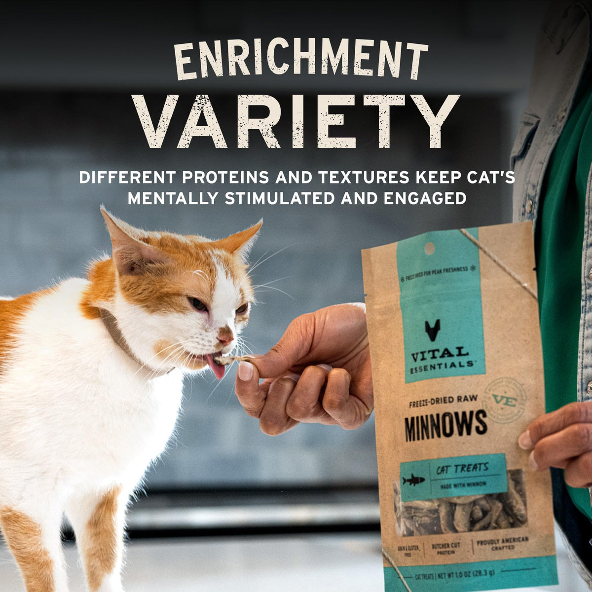 Vital Essentials Freeze Dried Cat Treats, Chicken Breast, 2.1 oz Bag
