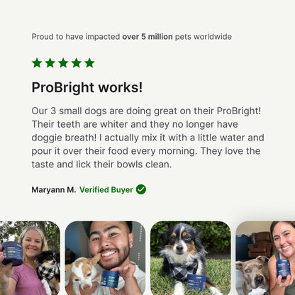 PetLab Co. ProBright Dental Powder for Extra Small Dogs
