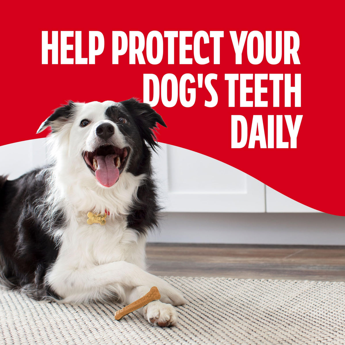 Milk-Bone Brushing Chews, Mini, Original Flavor, 90 Dental Treats