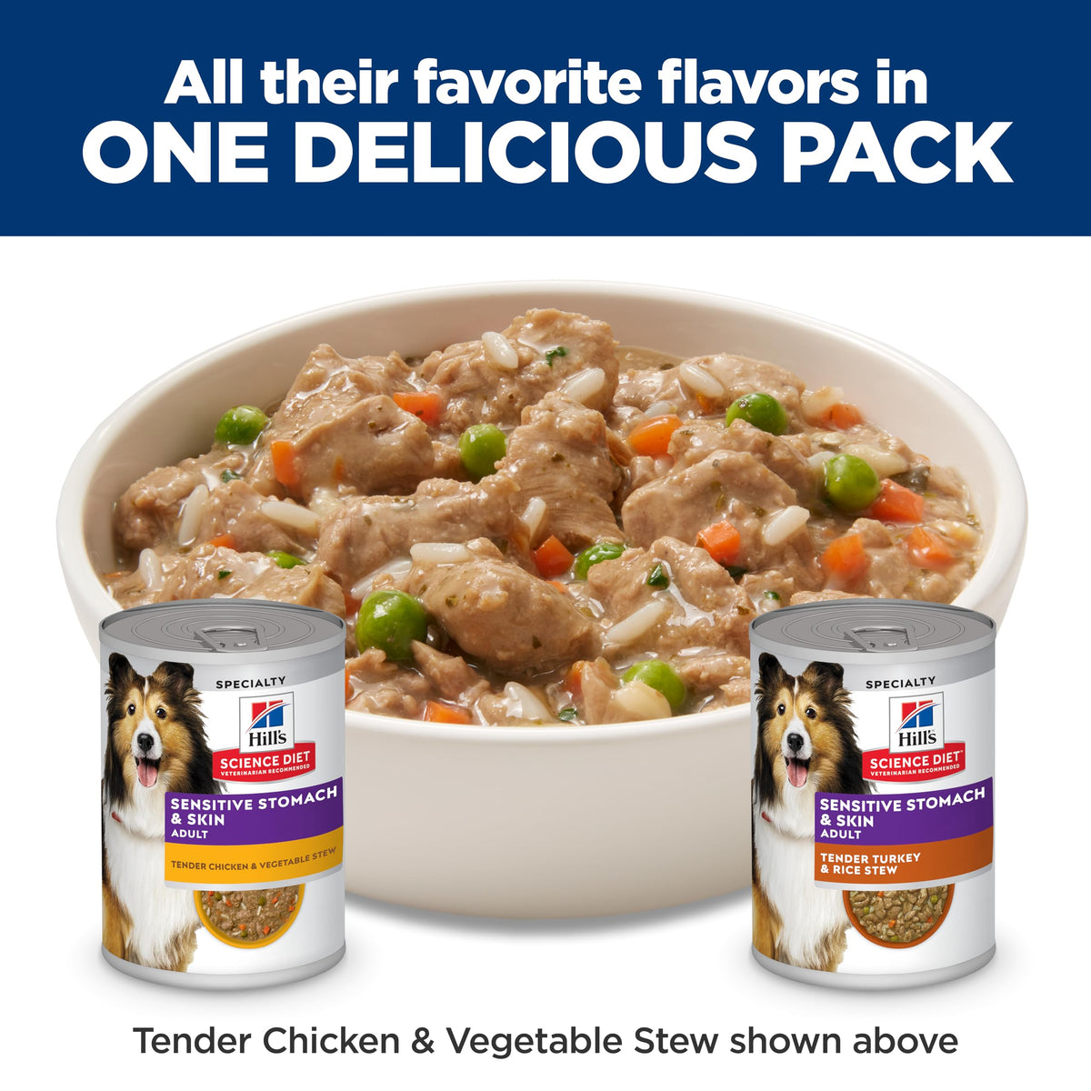 Hill's Science Diet Sensitive Stomach & Skin Wet Dog Food