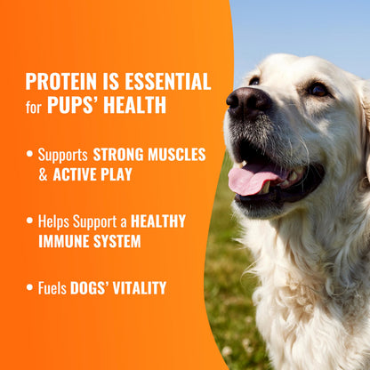 Good 'n' Fun Roll Long-Lasting Dog Treat for Large Dogs, 6 Count
