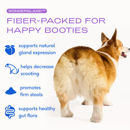 Native Pet GutWell Power Poop - Digestive Support & Fiber for Dogs - Promotes Healthy Stools, Supports Balanced Microbiome & Digestive Function - Triple-Biotic Blend & M-Fiber - 60 Scoops