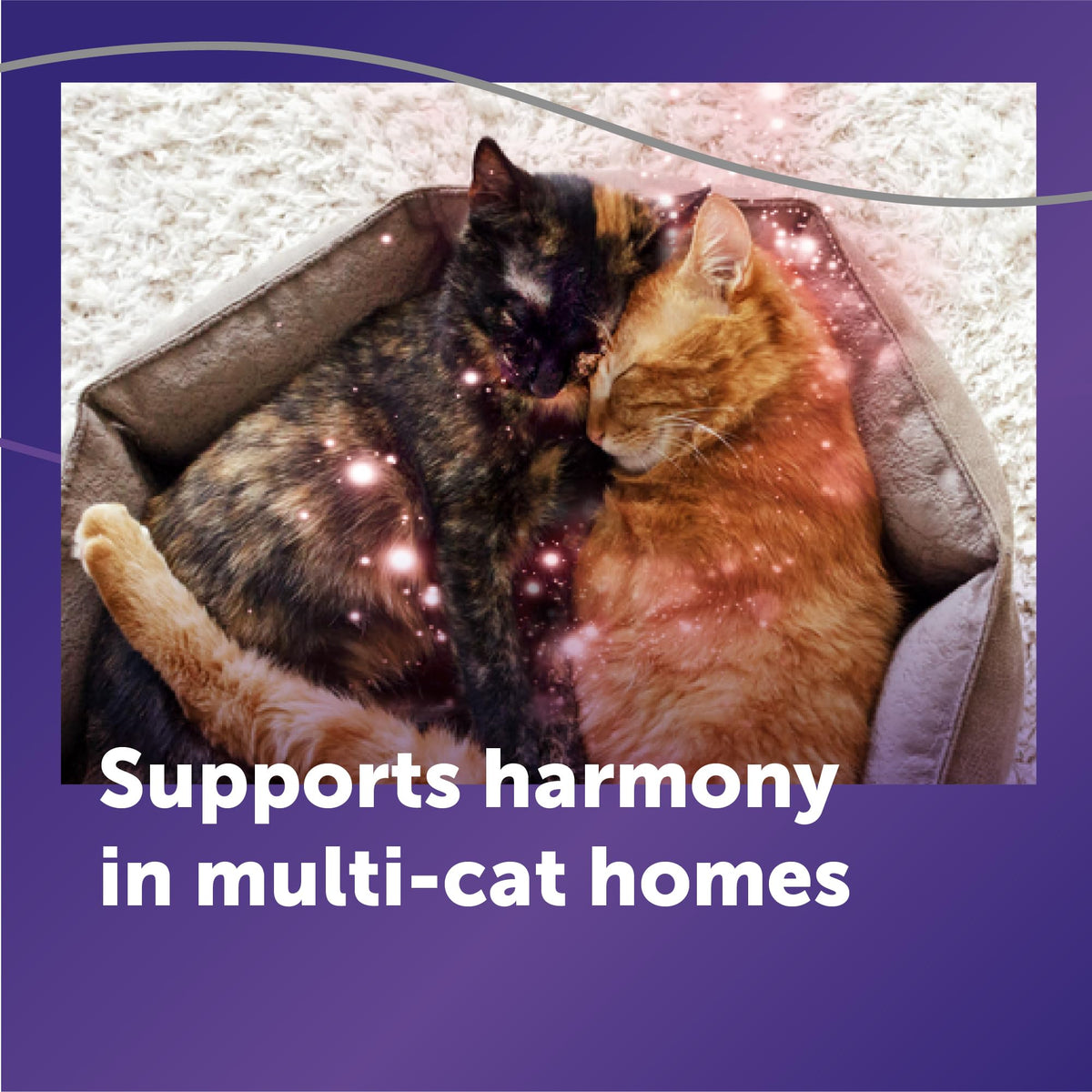 FELIWAY Optimum Cat Calming Pheromone Diffuser Refill - 3 Pack