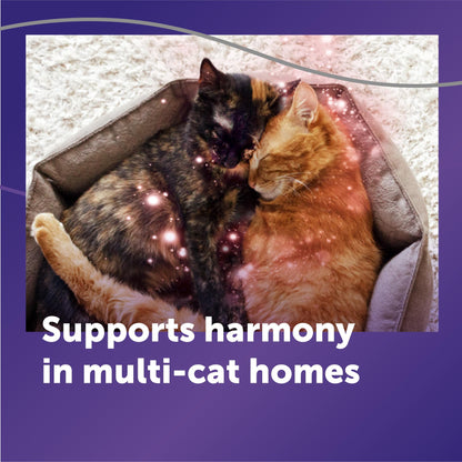 FELIWAY Optimum Cat Calming Pheromone Diffuser Refill - 1 Pack