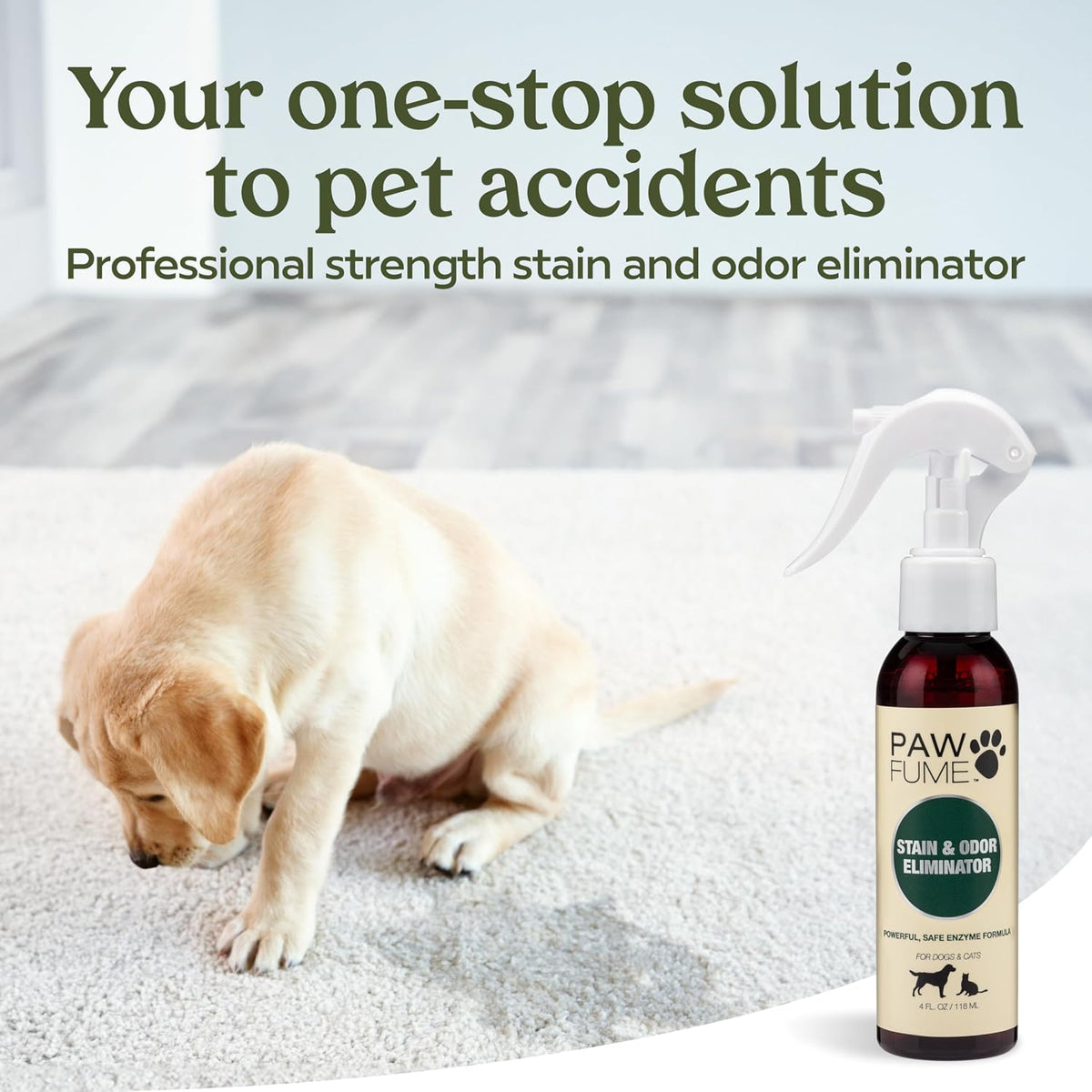 PAWFUME Stain & Pet Urine Odor Eliminator, 1-Pack