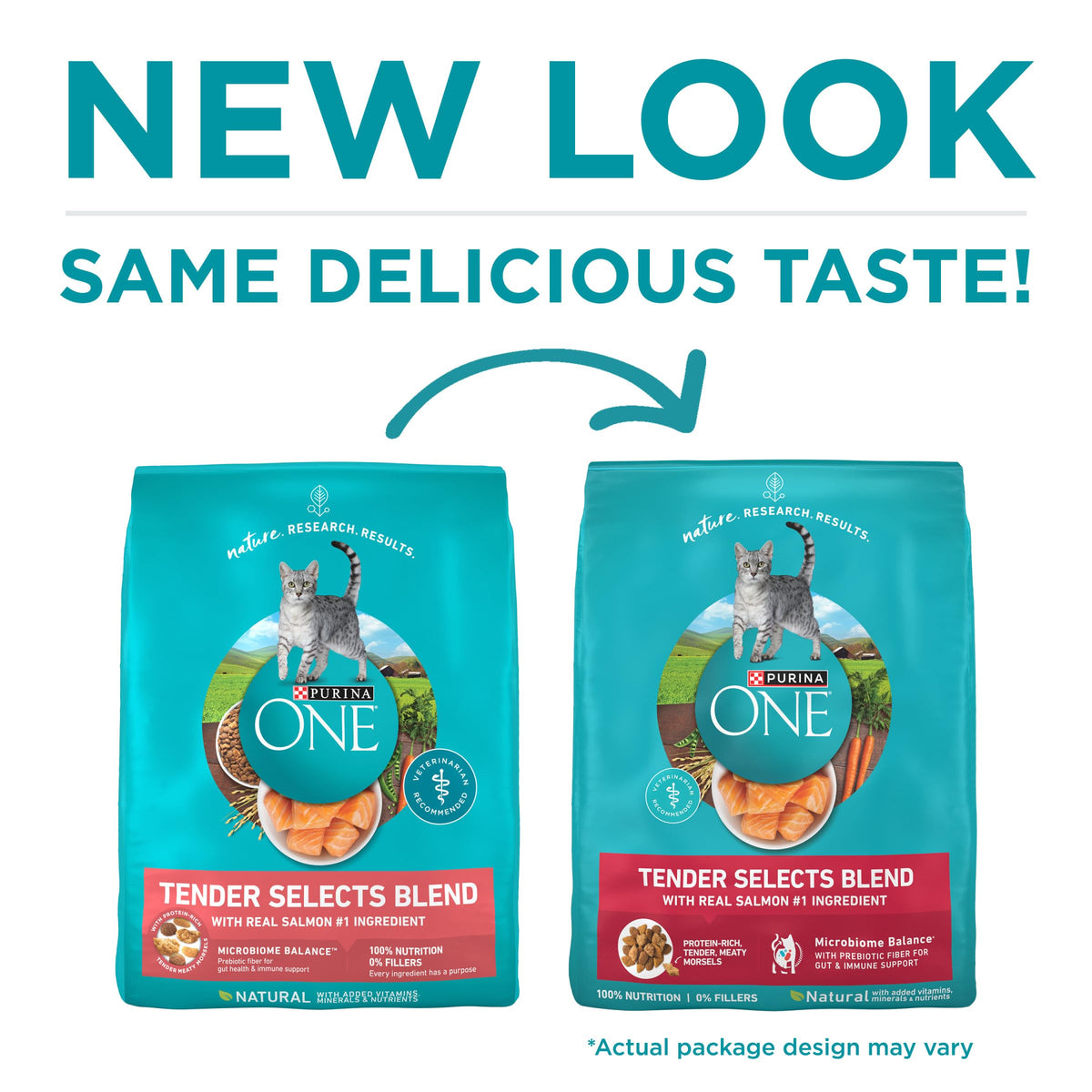 Purina ONE Natural Dry Cat Food, Tender Selects Blend with Real Salmon - 22 lb. Bag