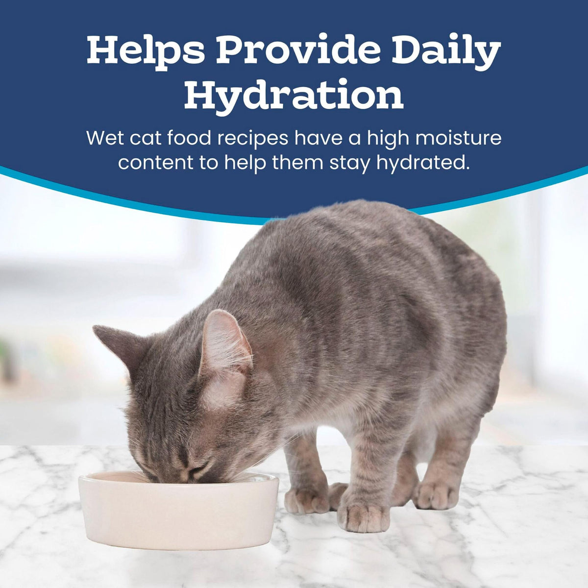 Blue Buffalo Tastefuls Wet Cat Food, Made with Natural Ingredients, Tuna and Chicken Flaked Entrées in Gravy, 3oz Cans, 4-Count Variety Pack Trial Size