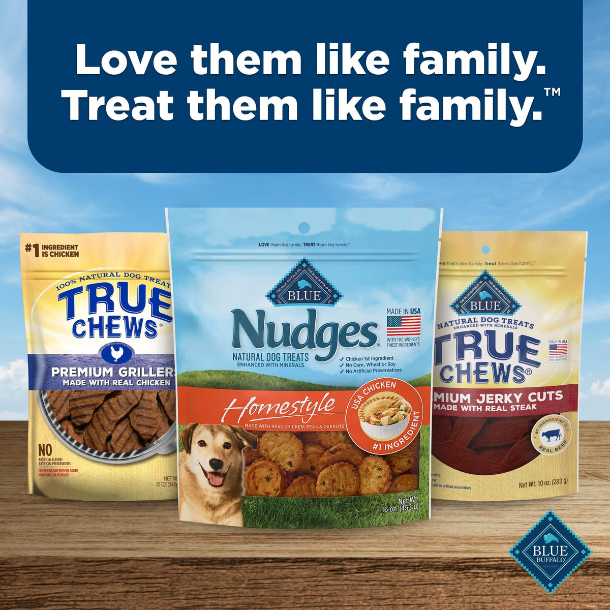 Blue Buffalo Nudges Grillers Steak Dog Treats, 16 oz
