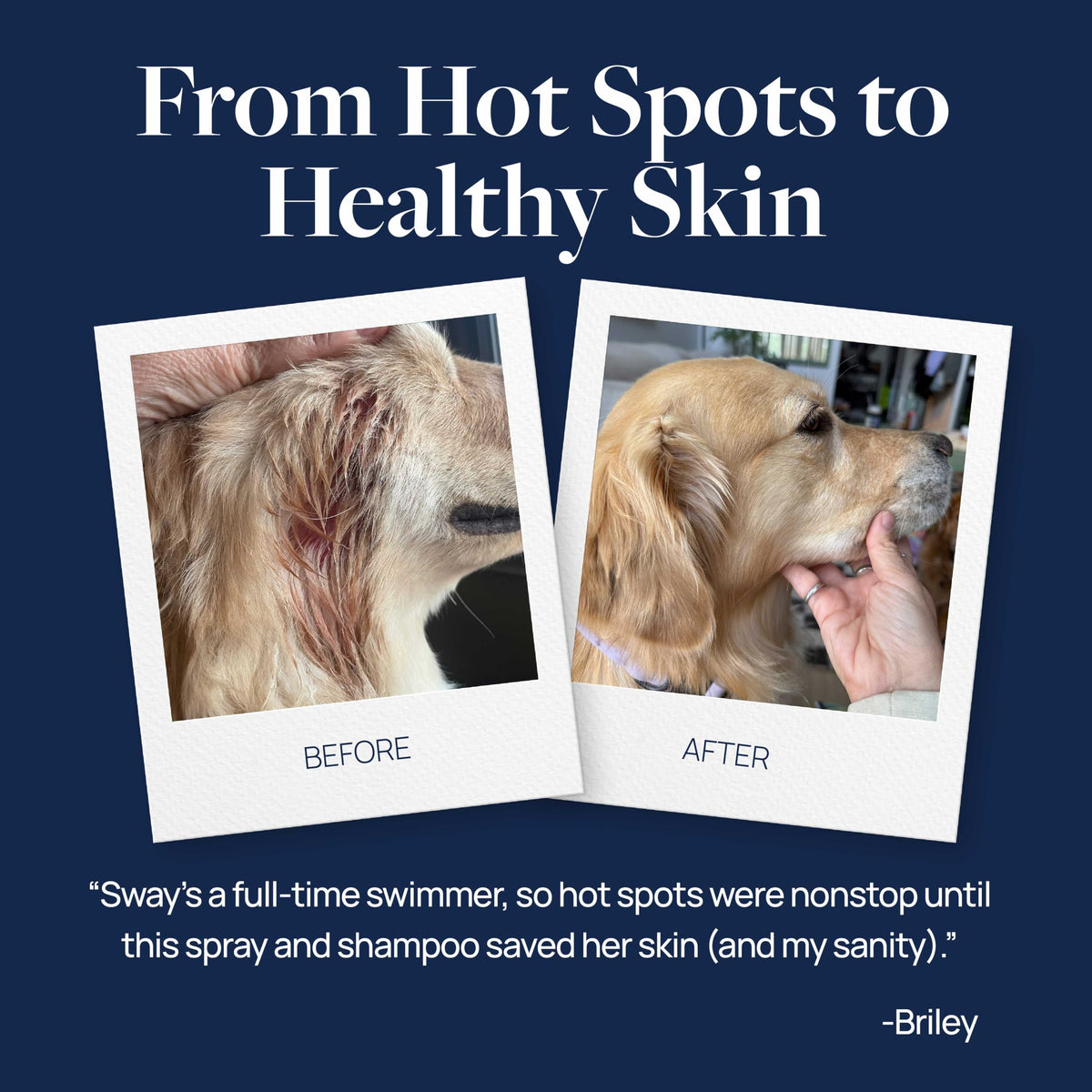 Veterinary Formula Clinical Care Hot Spot & Itch Relief Spray, Dogs & Cats