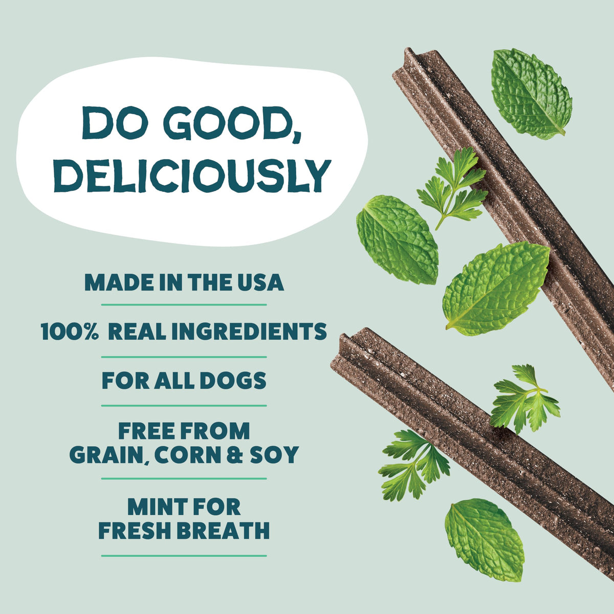 Shameless Pets Blueberry & Mint Dental Chews for Dogs, 8 Chews - Natural Dog Teeth Cleaning Treats with Fresh Breath Benefits | Grain-Free Dental Sticks for Small, Medium & Large Dogs (Pack of 6)