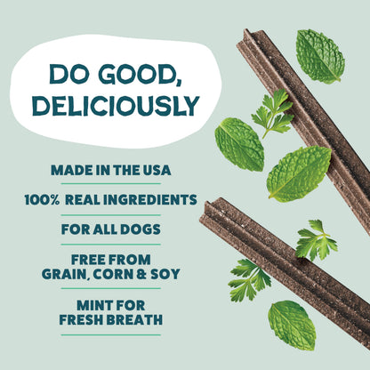 Shameless Pets Blueberry & Mint Dental Chews for Dogs, 8 Chews - Natural Dog Teeth Cleaning Treats with Fresh Breath Benefits | Grain-Free Dental Sticks for Small, Medium & Large Dogs (Pack of 6)