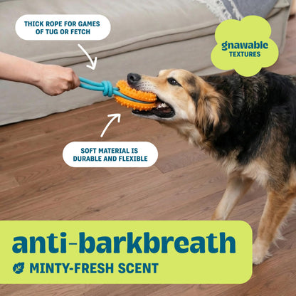 Cool Teething Stick Dental Dog Chew Toy, Soak & Freeze, 8.5"