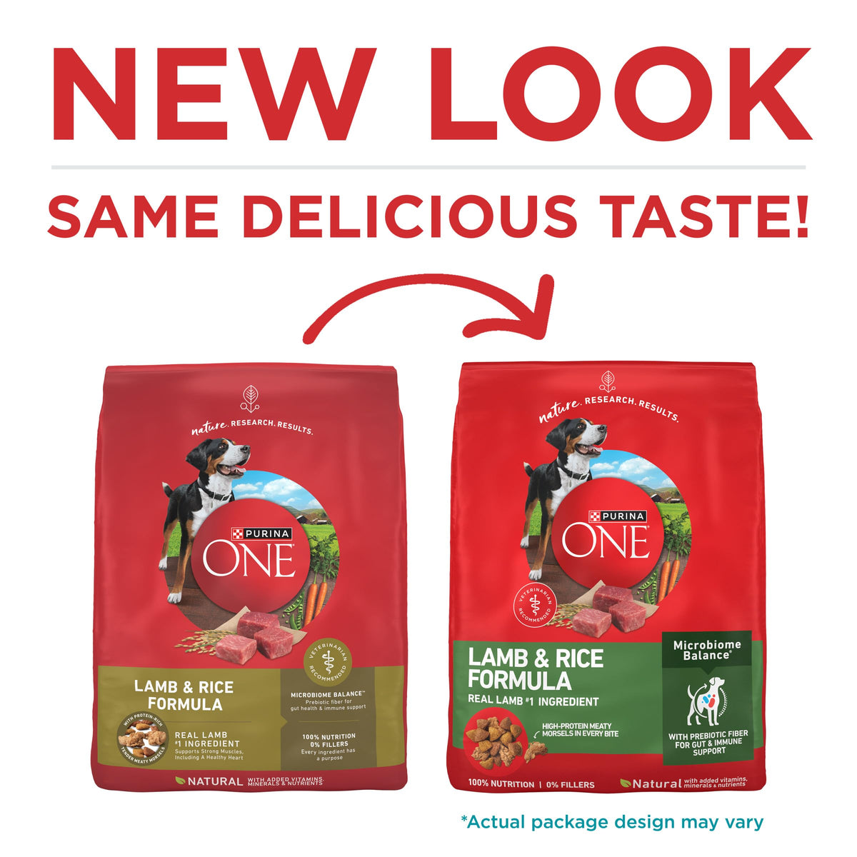 Purina ONE Lamb and Rice Formula Dry Dog Food for Digestive Support
