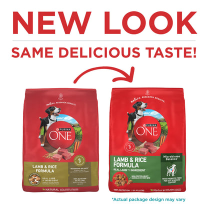 Purina ONE Lamb and Rice Formula Dry Dog Food for Digestive Support