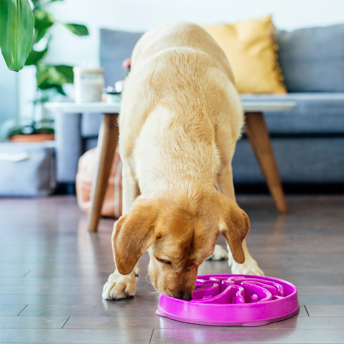 Outward Hound Fun Feeder Slo Bowl Dog Slow Feeder, Wave, Pink, 5.8"