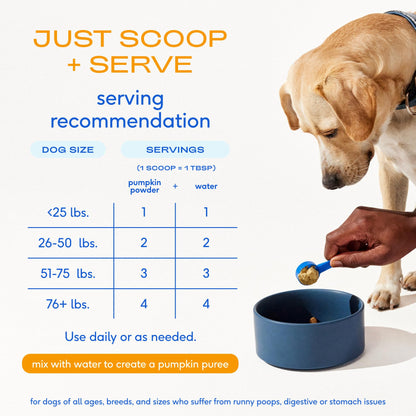 Native Pet GutWell Power Poop - Digestive Support & Fiber for Dogs - Promotes Healthy Stools, Supports Balanced Microbiome & Digestive Function - Triple-Biotic Blend & M-Fiber - 60 Scoops
