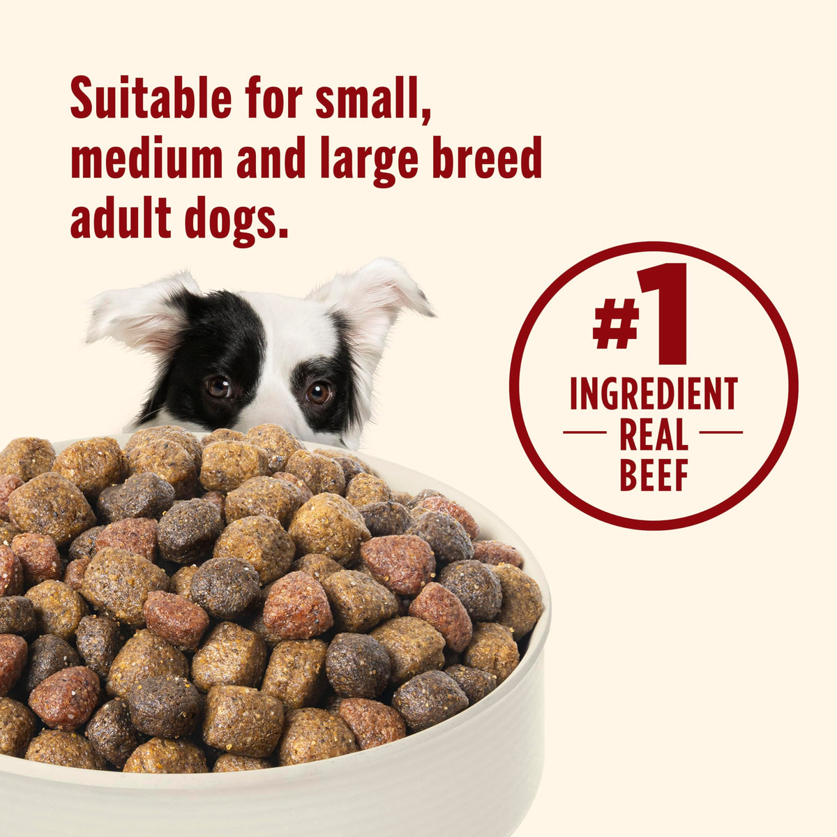 Nutrish Dry Dog Food, Beef, Pea & Brown Rice, 40 lb. Bag (Rachael Ray)
